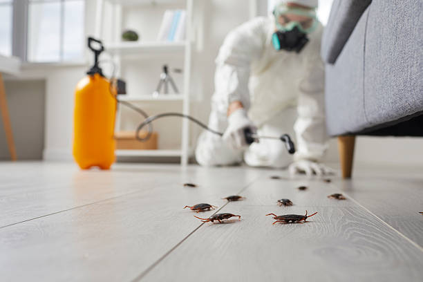 Trusted Cockroach Control service in Lansford, PA - Nex Pest Control