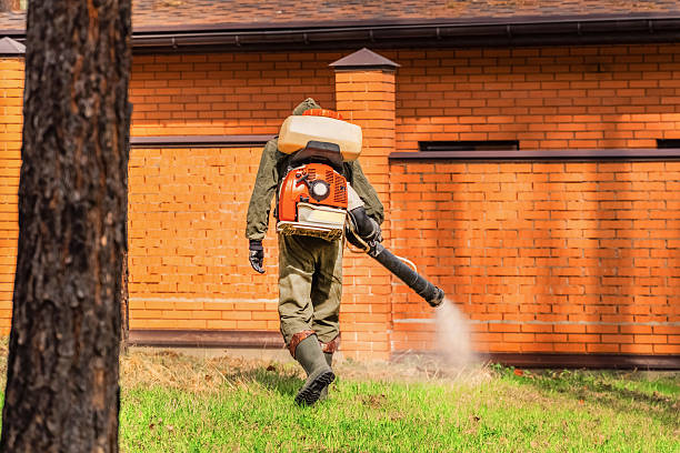 Trusted Termite Control service in Lansford, PA - Nex Pest Control